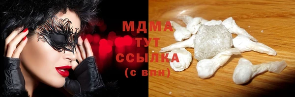 стаф Тайга