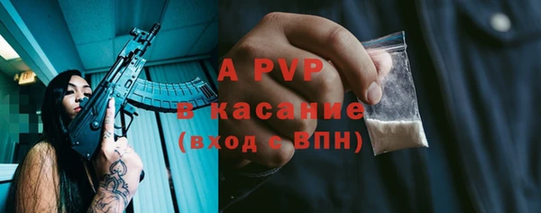 СК Абинск