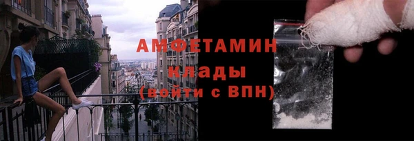 стаф Тайга