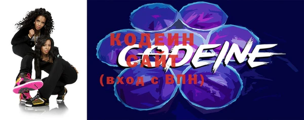 стаф Тайга