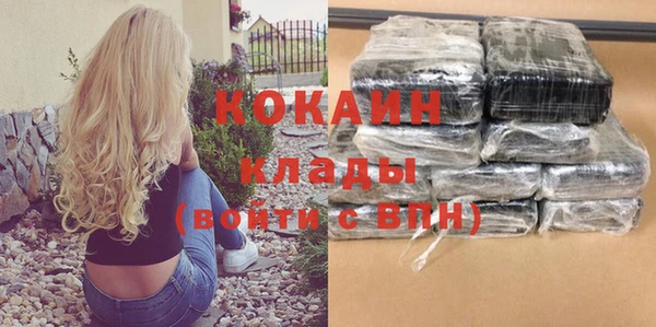 стаф Тайга