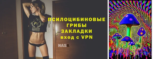 стаф Тайга